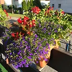 Nova Dolina *