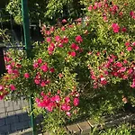 דירה Nova Dolina ויסלאו
