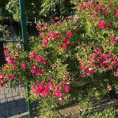 Apartamento Nova Dolina Wisła