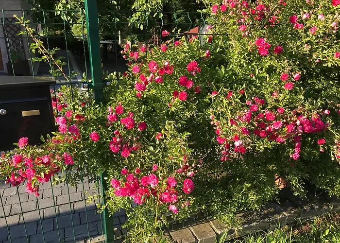 Apartamento Nova Dolina Wisła